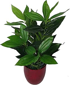 Plantes Artificielles Réalistes